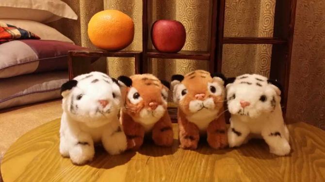 武汉出发到广州长隆之行 - 广州游记攻略