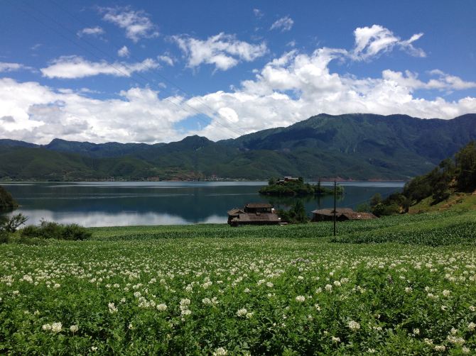 丽江-泸沽湖-香格里拉-大理10日攻略自助游完熊猫基地到乐山大佛自助游亲情图片