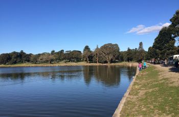 双湾,悉尼双湾攻略\/地址\/图片\/门票