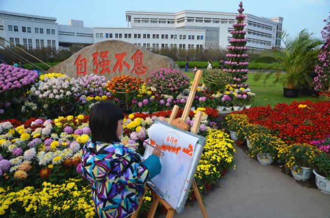 上海大学第十一届菊文化节—菊花盛宴!