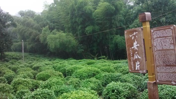 六安九公寨