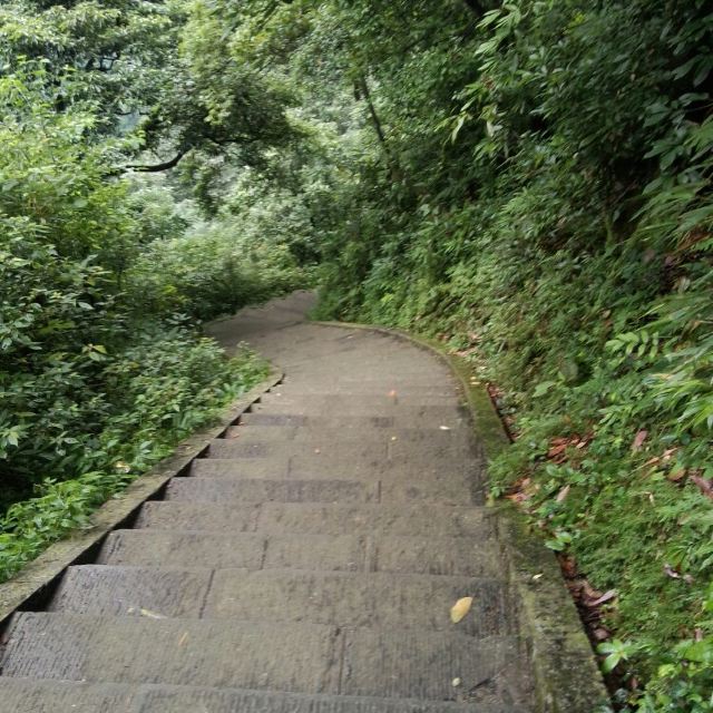 峨眉者,山之领袖—徒步一日登顶