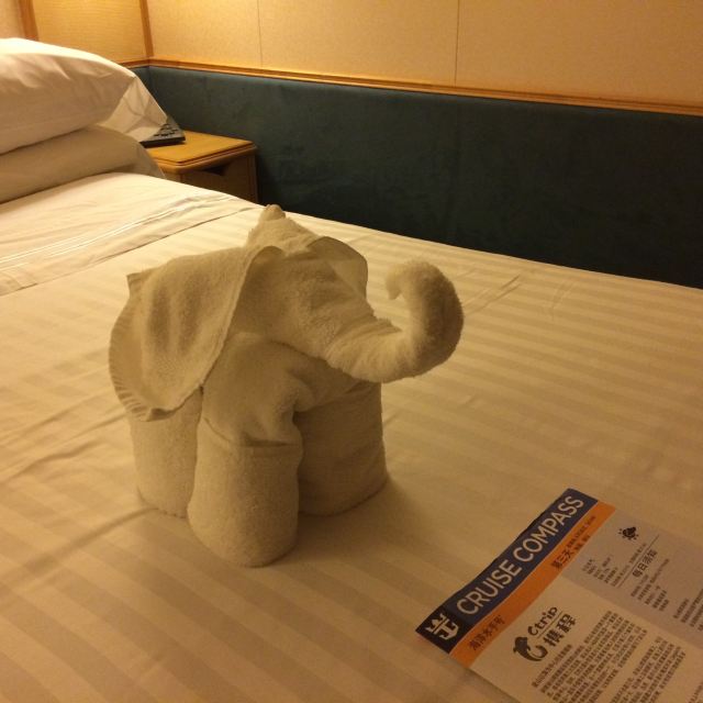 这是第二天晚上回到舱房的惊喜,床上放着用毛巾折的小动物,大象还是很