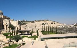 耶路撒冷客西马尼园天气预报,历史气温,旅游指