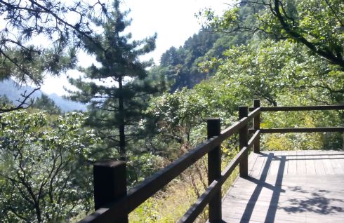 山中人兮芳杜若,饮石泉兮荫松柏——北京松山之行