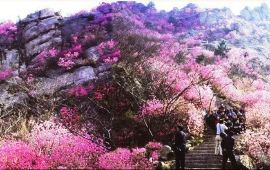 【大珠山风景区天气预报】青岛大珠山风景区天
