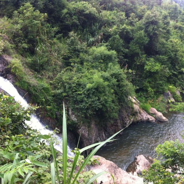 武平梁野山