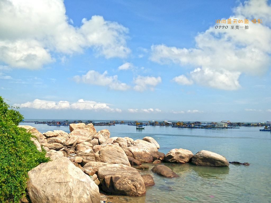 我心似海洋歌词_我心似海洋_蔡琴我心似海洋