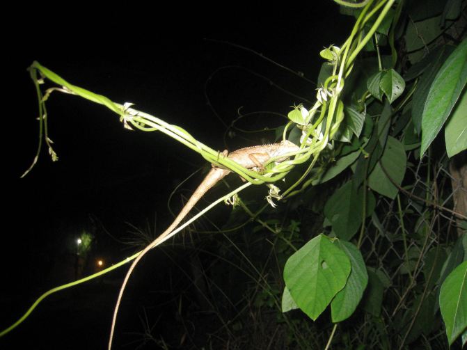 亲子游越南小攻略 含越南签证办理货币兑换及