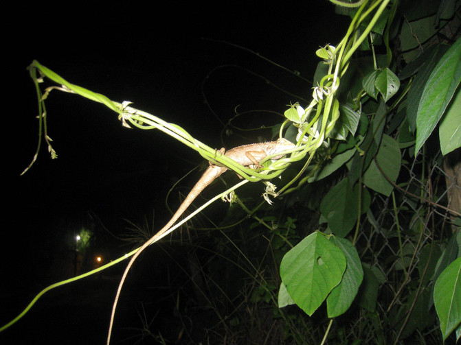 亲子游越南小攻略 含越南签证办理货币兑换及