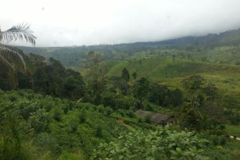 天气突变的狮子岩 - 斯里兰卡游记攻略