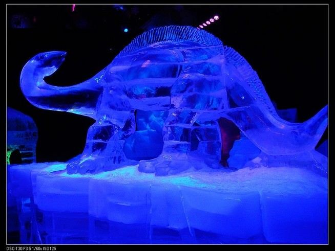 香港澳门购物、美食游(内有CHANEL、百达翡