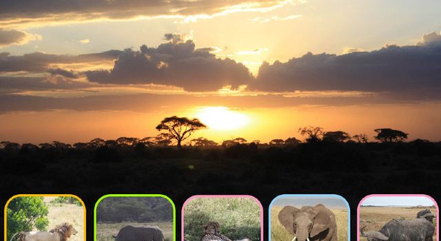 遥远的肯尼亚,难说再见,2大1小首次safari|内罗