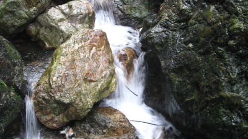 白水洞风景区门票预订_白水洞风景区门票价格_白水洞