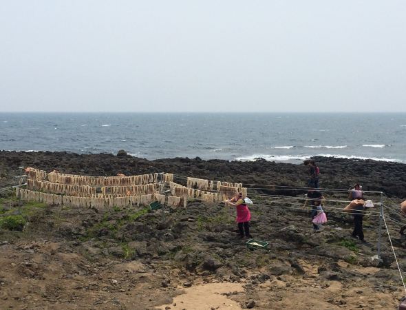 到韩国的夏威夷济州岛去 - 济州岛游记攻略