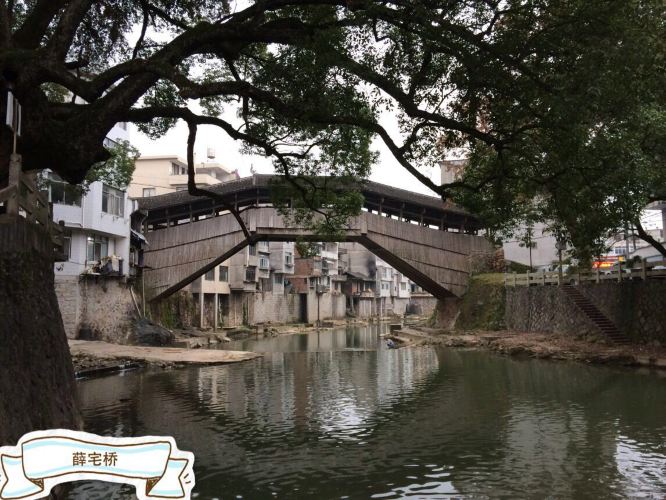 在冬天本来是游客