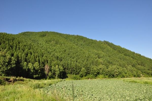 前方目的地,和平森林公园,完全依靠导航.