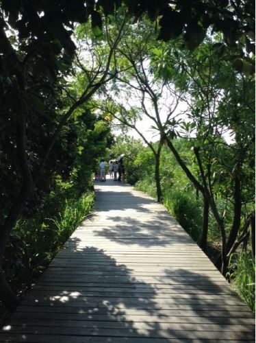 淇澳(珠海)海岛一日游 - 珠海游记攻略