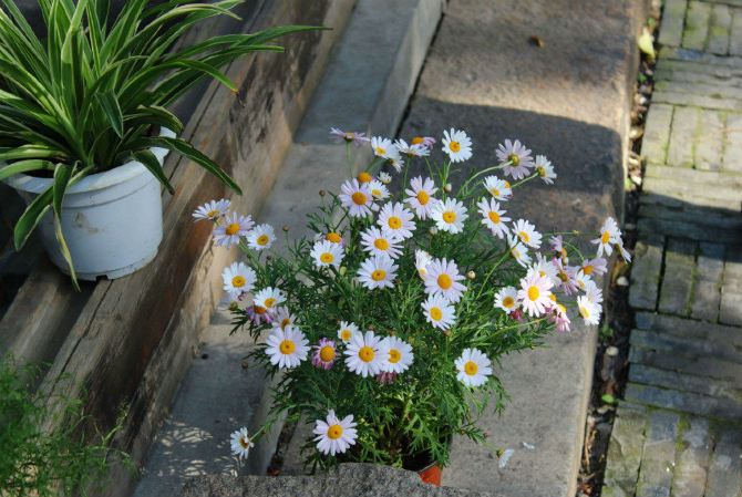 哐当~哐当~哐当~坐上火车去旅行(苏州) - 苏州