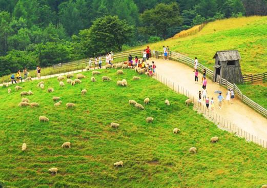 江原道风景图片,江原道旅游景点照片/图片/图库/相册
