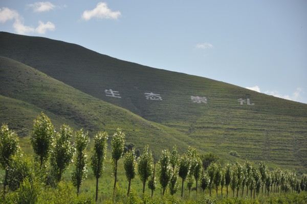 前方目的地,和平森林公园,完全依靠导航.