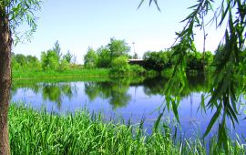 【携程天气预报】齐齐哈尔榆树崴子风景区天气