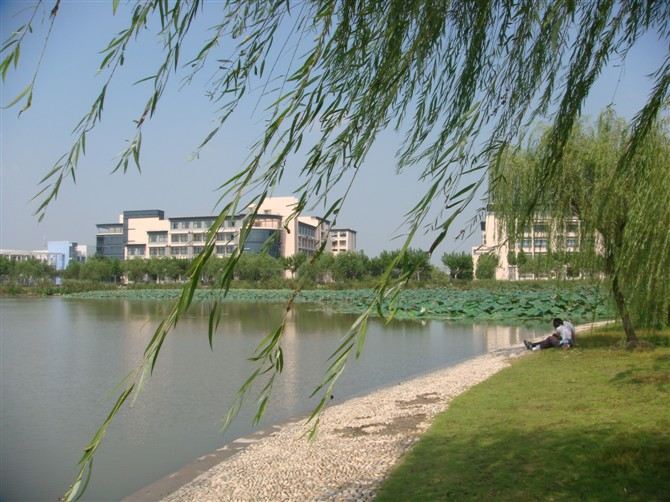 我的母校风景——东华大学