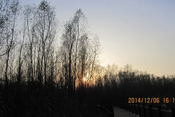 上海周边西塘、崇明二日自驾游 - 崇明游记攻略