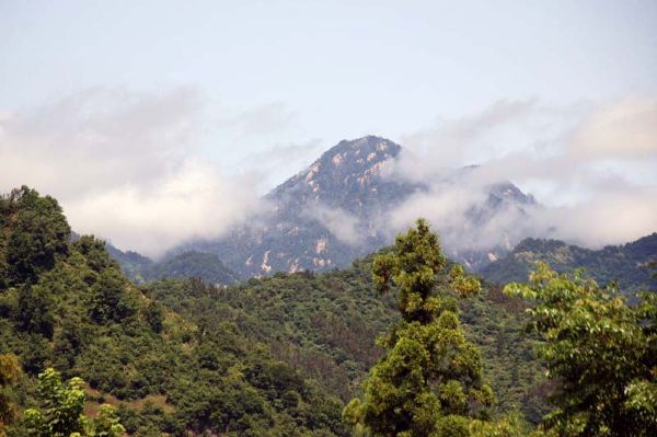 离开东黄山旅游度假区,我们继续前行,沿途风景秀丽,远望群峰之中黄山