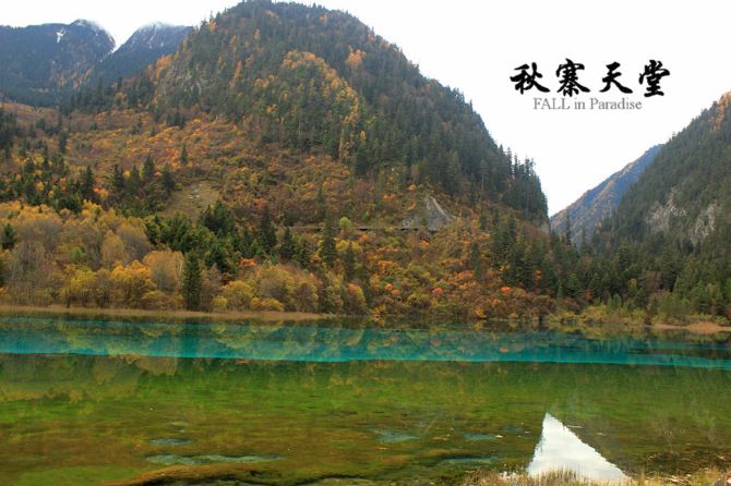 入蜀记--成都+九寨沟黄龙八日自由行 - 九寨沟游