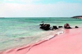 【携程攻略】巴哈马粉色沙滩交通路线,怎么去