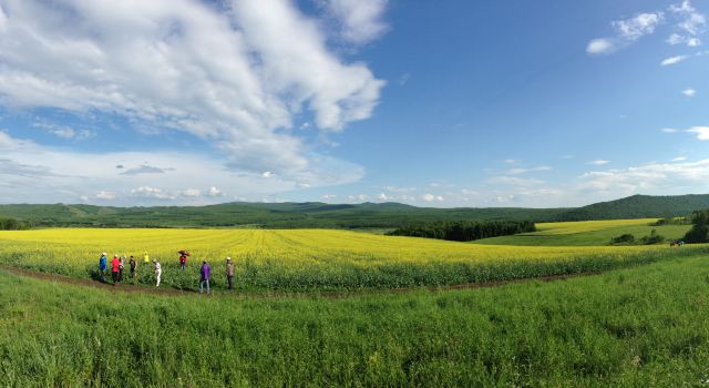 老舍<em>先生</em>内蒙风光素材_<em>马裤先生</em>老舍<em>阅读答案</em>