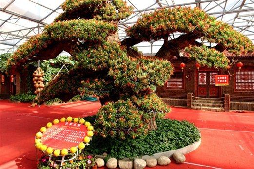 寿光旅游照片,寿光景点图片,图库,相册–携程社