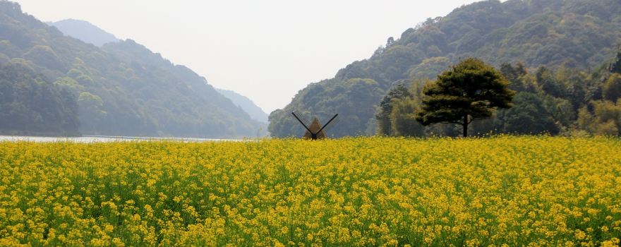 2014从化旅游攻略,自助游\/自驾\/出游\/自由行攻略