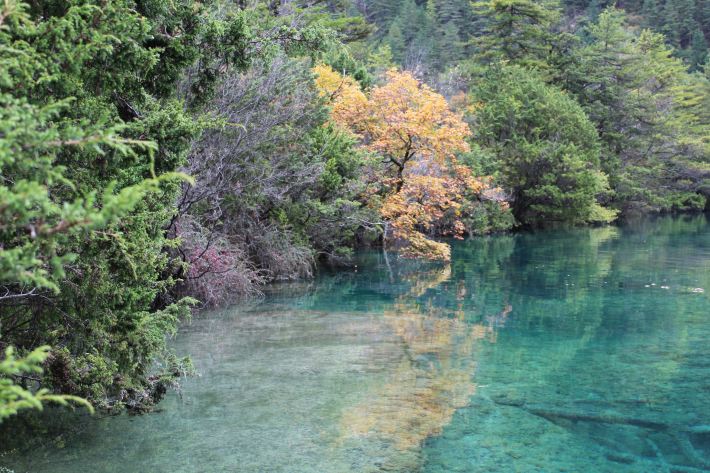 “Binance Casino - 领先的