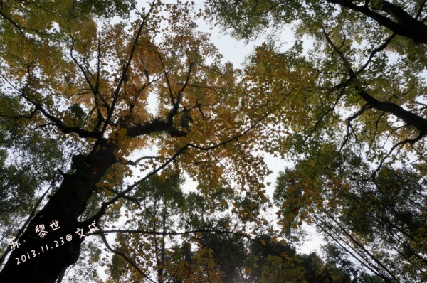 学生族11月情侣温州1日游记,文成旅游资源简介