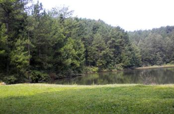 巴中南阳森林公园周边住宿,南阳森林公园附近