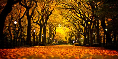 美国纽约+华盛顿+波士顿9日公司旅游(3钻)·东