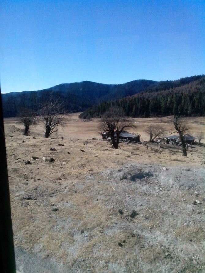 昆大香丽,第一次自己的旅行 - 丽江游记攻略【