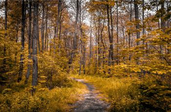阿尔山奥伦布坎景区附近景点,奥伦布坎景区周