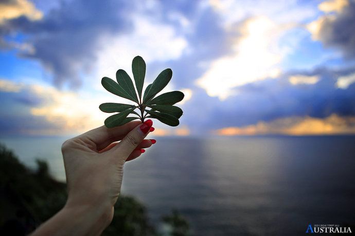 清晨有很多晨练和慢跑的人们面朝大海,呼吸新鲜的空气,真的很向往