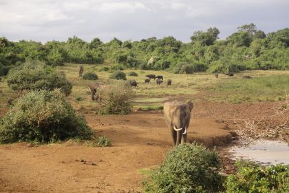 2015肯尼亚旅游攻略,自助游\/自驾\/出游\/自由行