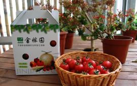 【金稼园天气预报】嘉兴金稼园天气预报一周,