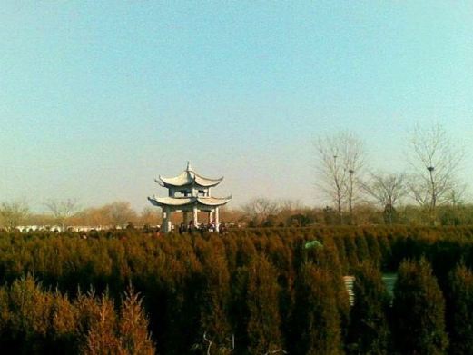菏泽