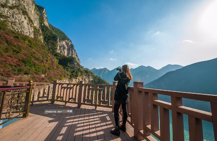 壮美巫山三峡红叶,正是漫山红时.