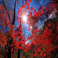 【携程攻略】丹东旅游图片,丹东旅游景点图片