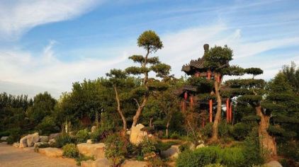 昌邑绿博园门票多少钱_昌邑绿博园门票价格_