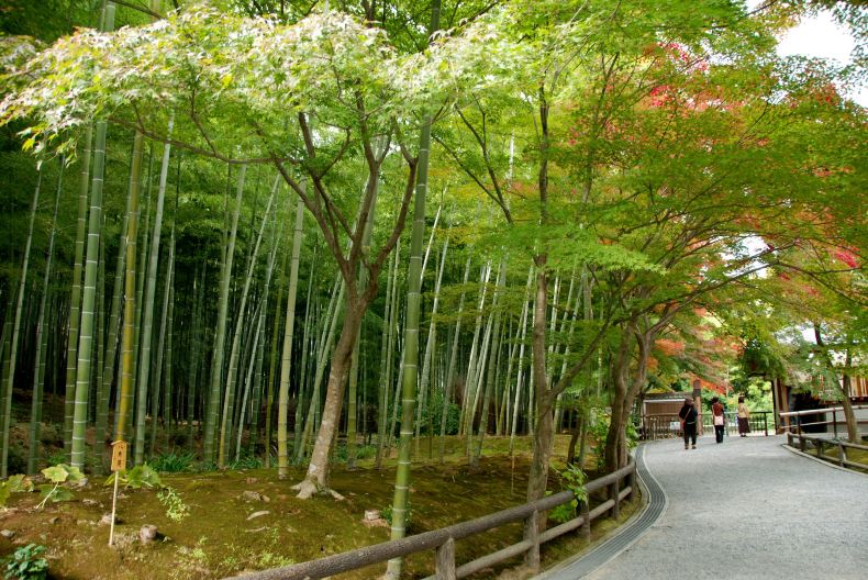 嵯峨野:京都豆腐汤游记-竹林攻略攻略东钱水上乐园小径图片