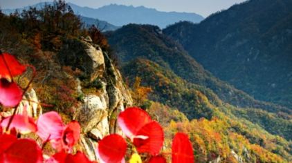 门票 河南景点门票  内乡景点门票 >云露山景区    