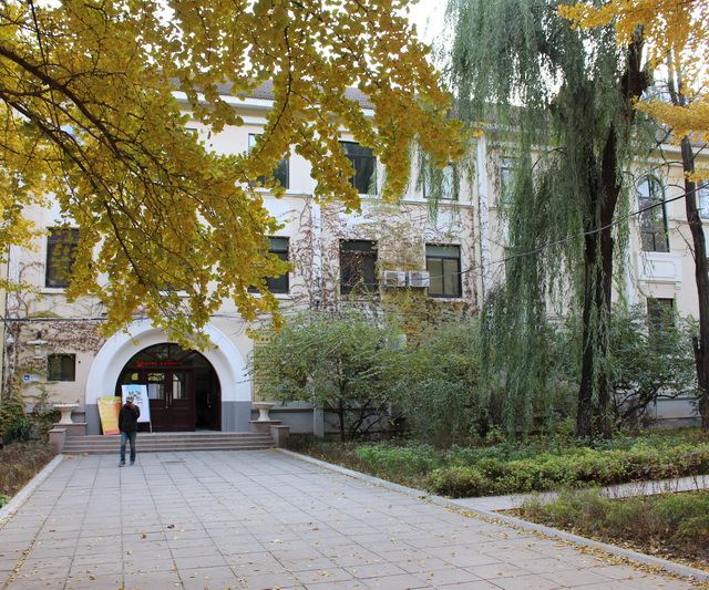 早就听说北京科技大学的学校园里有两排美丽的银杏树,虽然离家近,但
